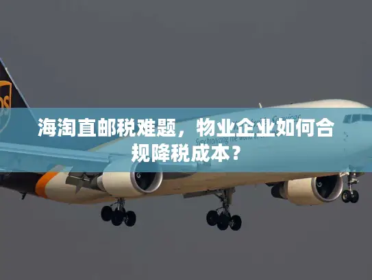 海淘直邮税难题,物业企业如何合规降税成本? 海淘直邮税难题,物业企业如何合规降税成本?