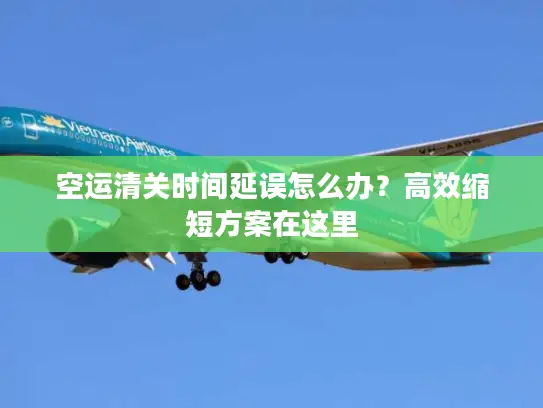 空运清关时间延误怎么办？高效缩短方案在这里