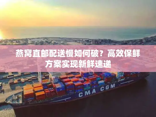 燕窝直邮配送慢如何破？高效保鲜方案实现新鲜速递