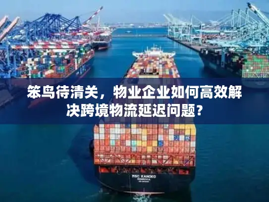 笨鸟待清关，物业企业如何高效解决跨境物流延迟问题？