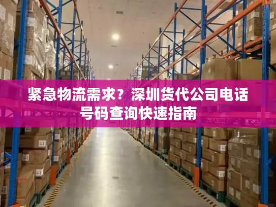 紧急物流需求？深圳货代公司电话号码查询快速指南