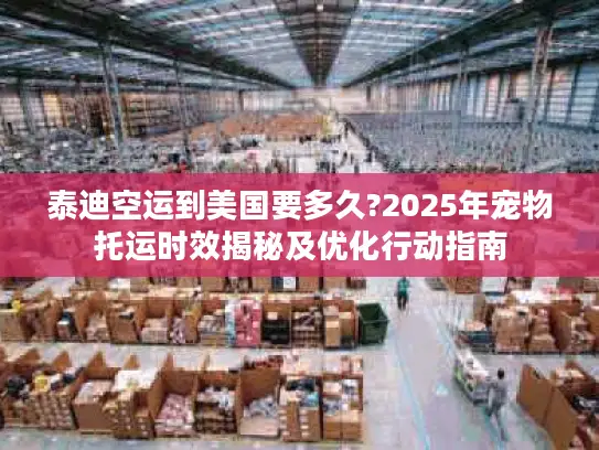 泰迪空运到美国要多久?2025年宠物托运时效揭秘及优化行动指南
