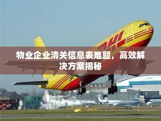 物业企业清关信息表难题，高效解决方案揭秘