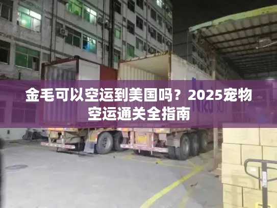 金毛可以空运到美国吗？2025宠物空运通关全指南