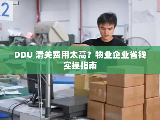 DDU 清关费用太高？物业企业省钱实操指南