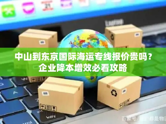 中山到东京国际海运专线报价贵吗？企业降本增效必看攻略