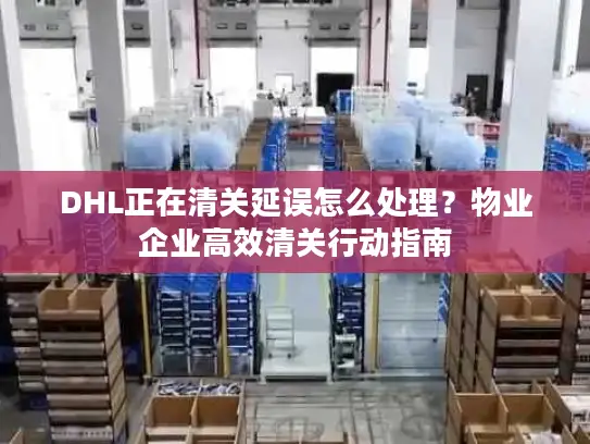 DHL正在清关延误怎么处理?物业企业高效清关行动指南 DHL正在清关延误怎么处理?物业企业高效清关行动指南