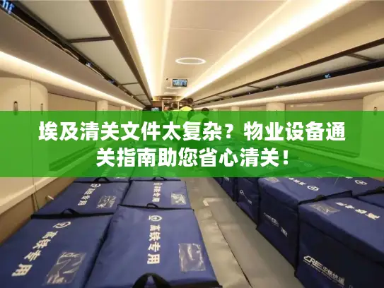 埃及清关文件太复杂？物业设备通关指南助您省心清关！