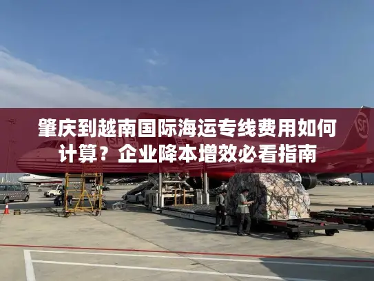 肇庆到越南国际海运专线费用如何计算？企业降本增效必看指南