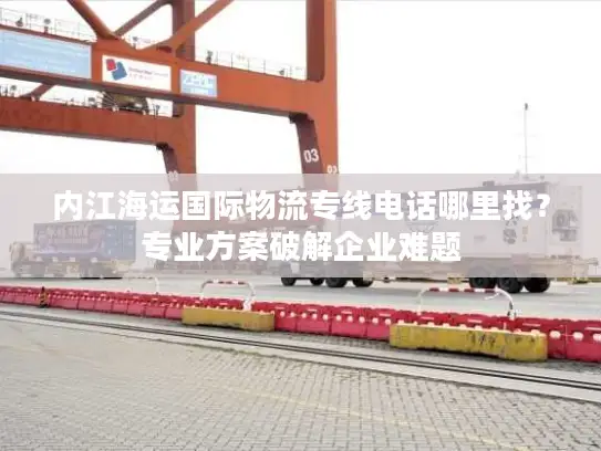 内江海运国际物流专线电话哪里找？专业方案破解企业难题