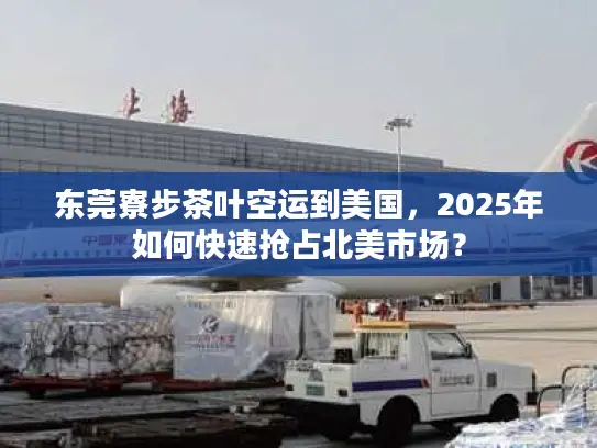 东莞寮步茶叶空运到美国，2025年如何快速抢占北美市场？