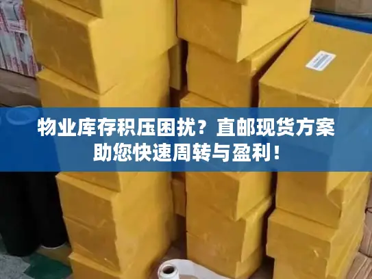 物业库存积压困扰？直邮现货方案助您快速周转与盈利！