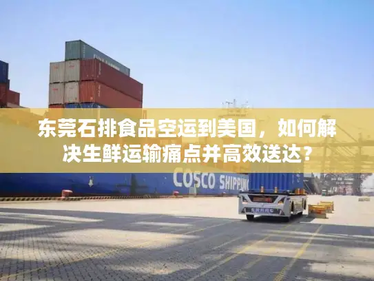 东莞石排食品空运到美国，如何解决生鲜运输痛点并高效送达？