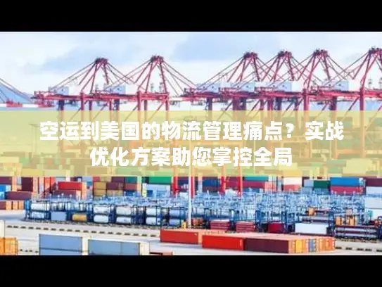 空运到美国的物流管理痛点？实战优化方案助您掌控全局