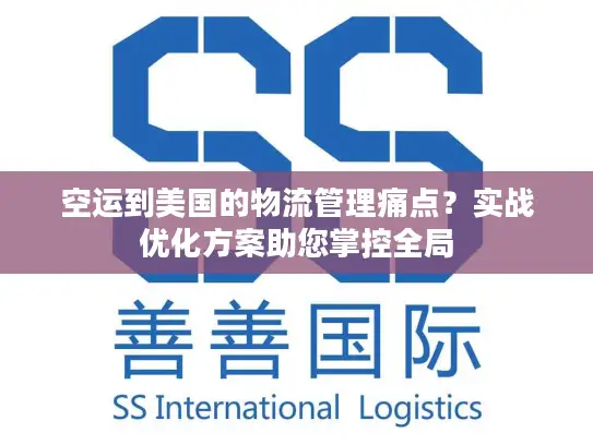 空运到美国的物流管理痛点？实战优化方案助您掌控全局
