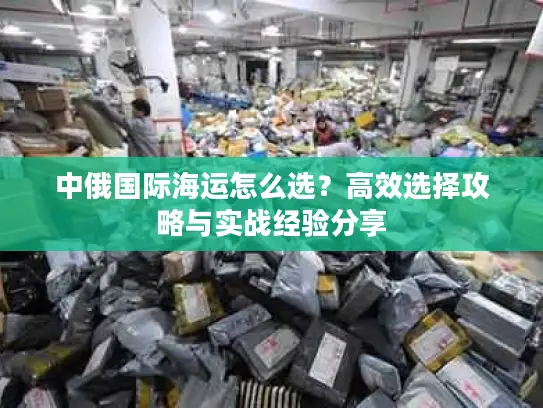 中俄国际海运怎么选？高效选择攻略与实战经验分享