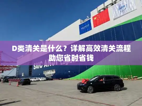 D类清关是什么？详解高效清关流程助您省时省钱