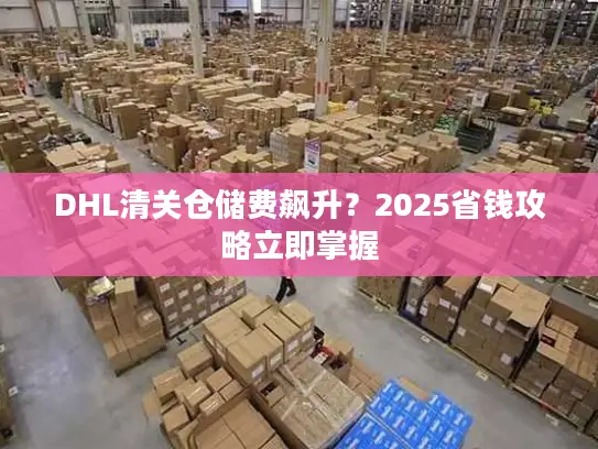 DHL清关仓储费飙升？2025省钱攻略立即掌握