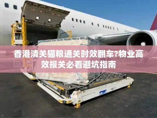 香港清关猫粮通关时效翻车?物业高效报关必看避坑指南