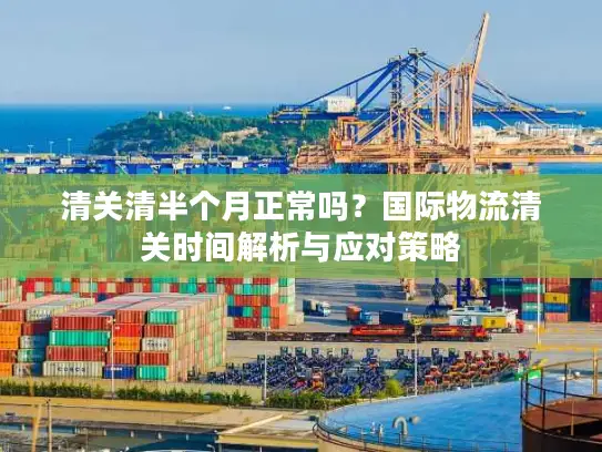 清关清半个月正常吗？国际物流清关时间解析与应对策略