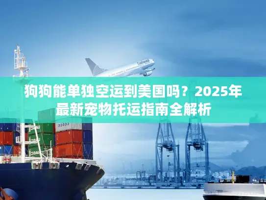 狗狗能单独空运到美国吗？2025年最新宠物托运指南全解析