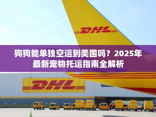 狗狗能单独空运到美国吗？2025年最新宠物托运指南全解析