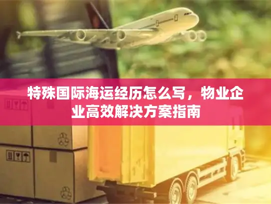 特殊国际海运经历怎么写，物业企业高效解决方案指南