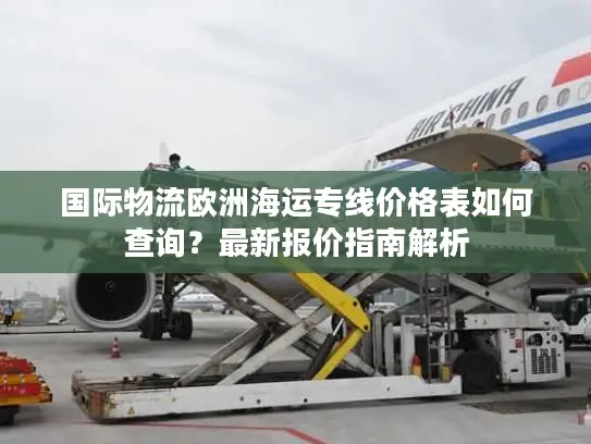 国际物流欧洲海运专线价格表如何查询？最新报价指南解析