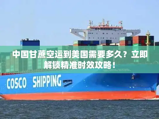 中国甘蔗空运到美国需要多久？立即解锁精准时效攻略！