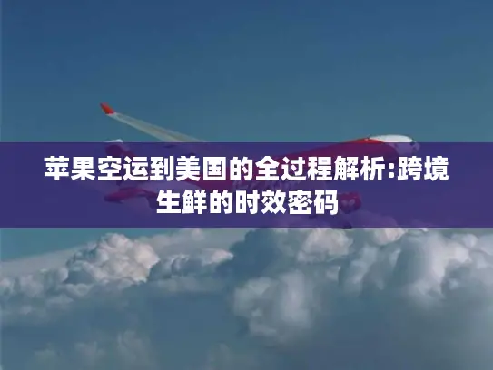 苹果空运到美国的全过程解析:跨境生鲜的时效密码