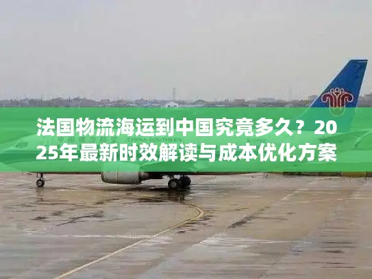 法国物流海运到中国究竟多久？2025年最新时效解读与成本优化方案