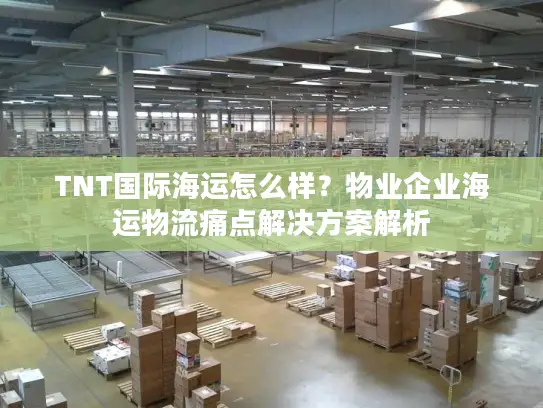 TNT国际海运怎么样？物业企业海运物流痛点解决方案解析