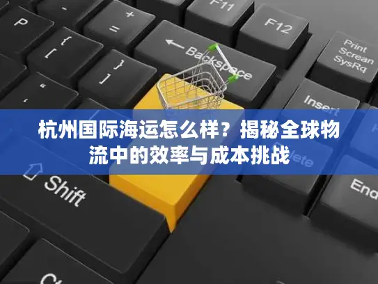 杭州国际海运怎么样？揭秘全球物流中的效率与成本挑战