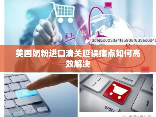 美国奶粉进口清关延误痛点如何高效解决