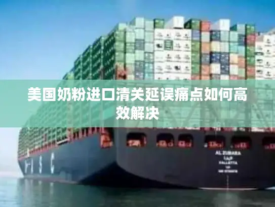 美国奶粉进口清关延误痛点如何高效解决