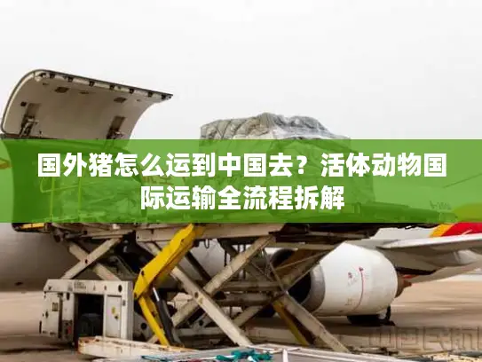 国外猪怎么运到中国去？活体动物国际运输全流程拆解