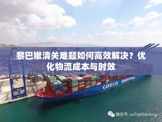 黎巴嫩清关难题如何高效解决？优化物流成本与时效