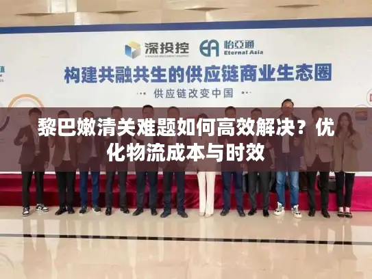 黎巴嫩清关难题如何高效解决？优化物流成本与时效