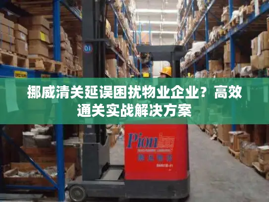 挪威清关延误困扰物业企业？高效通关实战解决方案