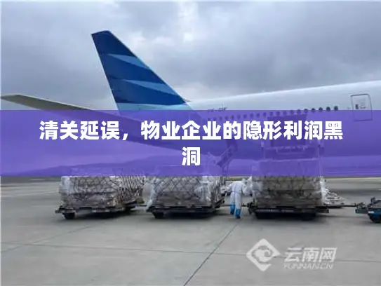 清关延误，物业企业的隐形利润黑洞