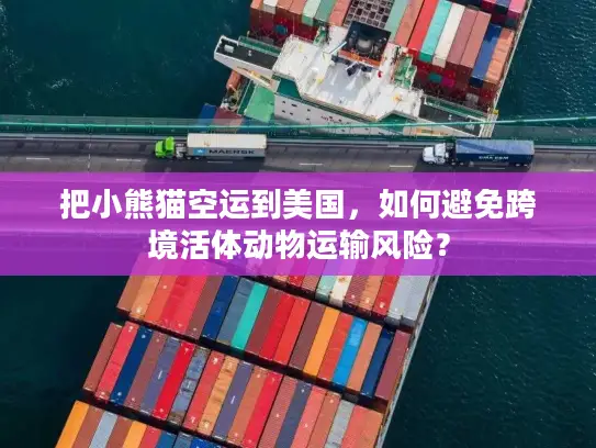 把小熊猫空运到美国，如何避免跨境活体动物运输风险？