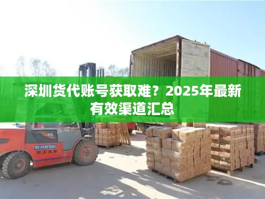 深圳货代账号获取难？2025年最新有效渠道汇总