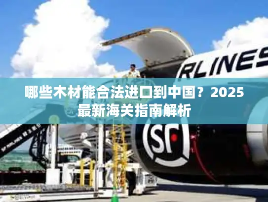 哪些木材能合法进口到中国？2025最新海关指南解析