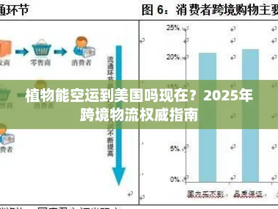 植物能空运到美国吗现在？2025年跨境物流权威指南