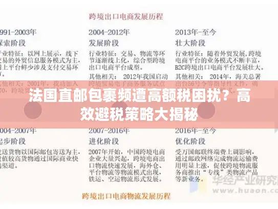 法国直邮包裹频遭高额税困扰？高效避税策略大揭秘