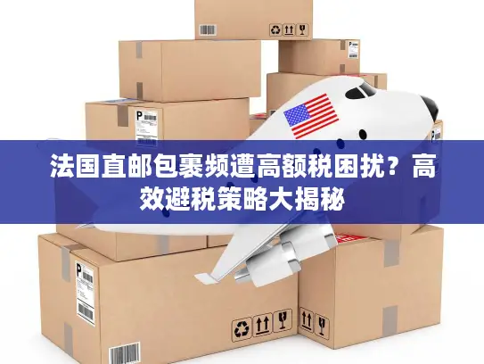 法国直邮包裹频遭高额税困扰？高效避税策略大揭秘
