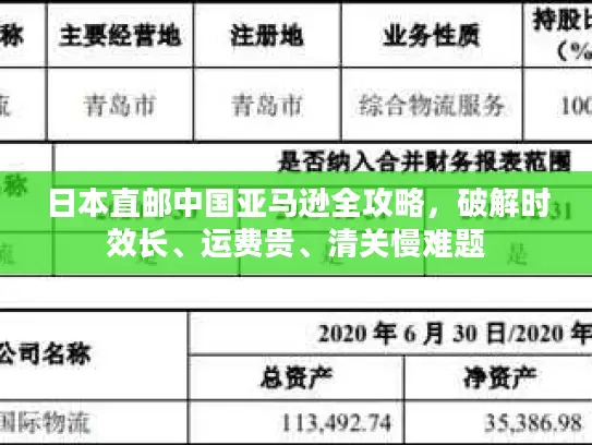 日本直邮中国亚马逊全攻略，破解时效长、运费贵、清关慢难题