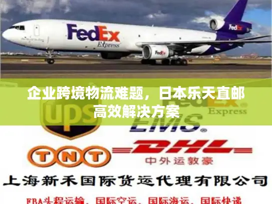 企业跨境物流难题，日本乐天直邮高效解决方案