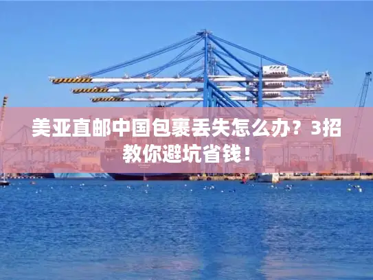 美亚直邮中国包裹丢失怎么办？3招教你避坑省钱！