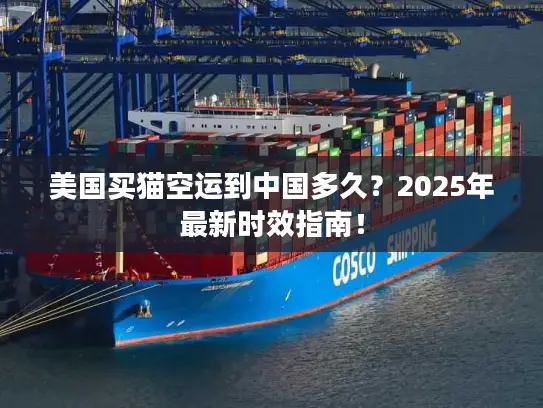 美国买猫空运到中国多久?2025年最新时效指南! 美国买猫空运到中国多久?2025年最新时效指南!